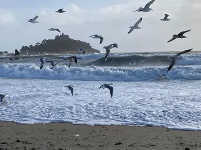 a flock of seagulls flying over the ocean at Ground Floor Chyreene in Phillack