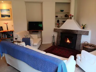 a living room with a couch and a fireplace at Pandia Cottage in Bodmin