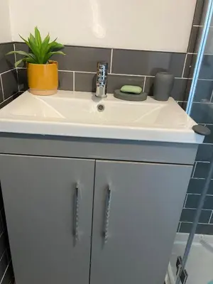 a bathroom counter with a sink and a plant at Newquay Beachcomber, 1 bedroom apartment in Saint Columb Minor