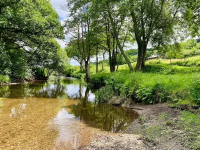 a river with trees and grass on the side at Riverside barn on private wildlife estate in Washaway