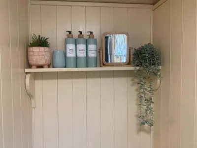 a shelf with bottles and plants on a wall at Phoenix Farm Shepherds Hut in Liskeard