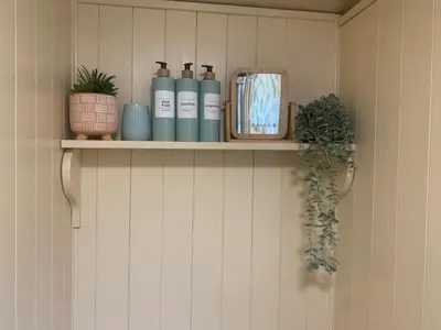 a shelf with bottles and plants on a wall at Phoenix Farm Shepherds Hut,Minions, Cornwall in Liskeard