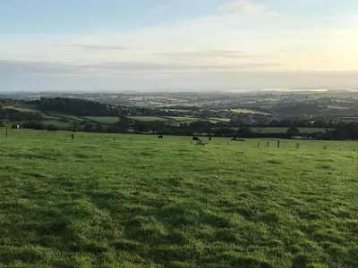 a field of green grass with animals in the distance at Phoenix Farm Shepherds Hut,Minions, Cornwall in Liskeard