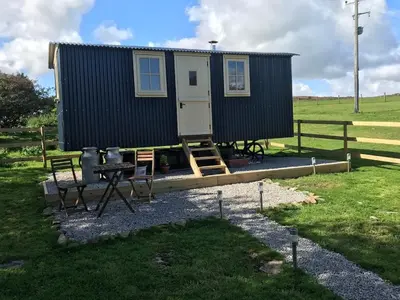 a tiny house in a field with a picnic table at Phoenix Farm Shepherds Hut,Minions, Cornwall in Liskeard