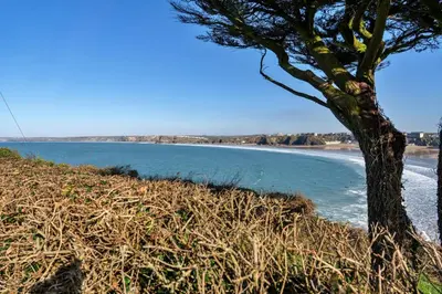 a tree sitting on the side of a beach at Finest Retreats - Tidal Shores in Newquay