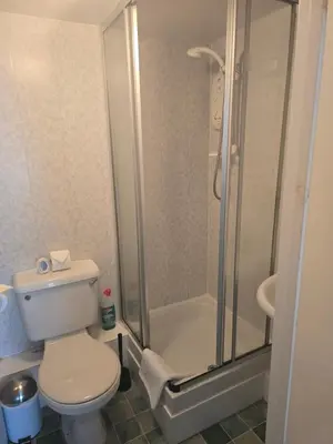a small bathroom with a toilet and a shower at Ring O Bells in St. Issey