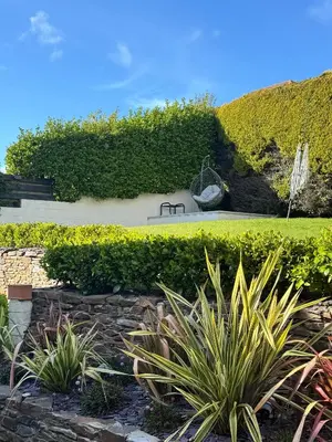 a garden with green hedge and plants at Whispering Waters in Newquay