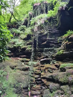 a rocky trail with rocks and trees and plants at Cornwall Luxury Hot Tub Huts in Camelford