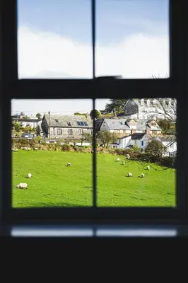 a view of a field of sheep from a window at 1 Rock Cottages in Treknow