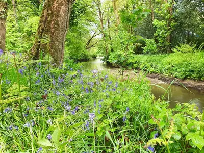 a garden with purple flowers next to a river at Riverside farm cottage on private wildlife estate 2-bedrooms in Washaway