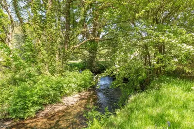 a river in the middle of a forest with trees at 2 Bed in Launceston oc-f30999 in Lewannick