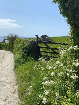a fence on the side of a field with flowers at Homely Cottage & Garden nr Praa Sands & Marazion in Saint Hilary