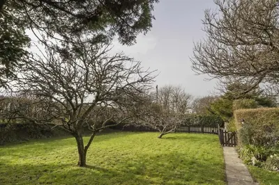 a tree in a grassy yard with a fence at Homely Cottage & Garden nr Praa Sands & Marazion in Saint Hilary