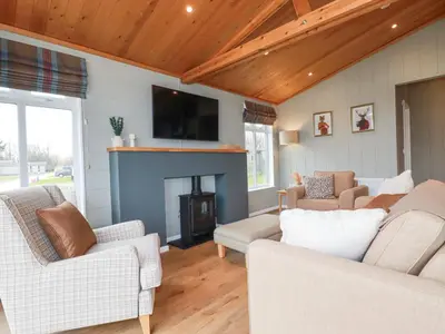 a living room with two couches and a fireplace at 6 Meadow Retreat in Liskeard
