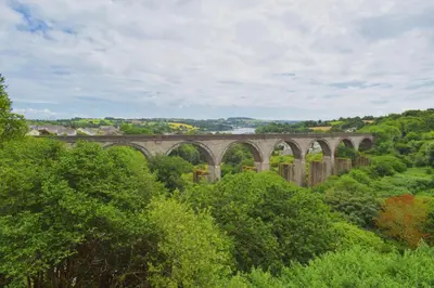 a bridge in the middle of a forest with trees at Riverview Modern 2 Bed- Parking & Tesla charger in Penryn