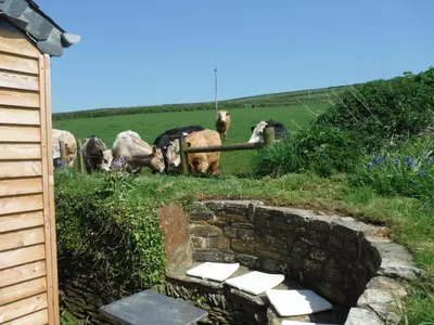 a group of animals grazing in a field with a fence at Seaview Studio in Forrabury