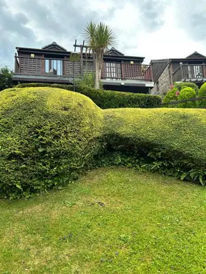 a large green bush in front of a house at Looe, Cornwall, Cottage, couples, romantic, quiet location, views, reliable Wi-Fi in Looe