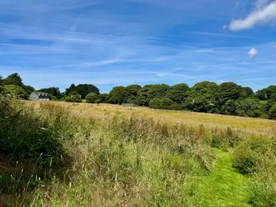 a field of grass with trees in the background at The Hayloft in Lostwithiel