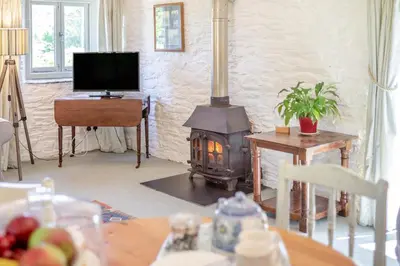 a living room with a wood stove and a television at 2 Bed in Launceston oc-d31000 in Lewannick
