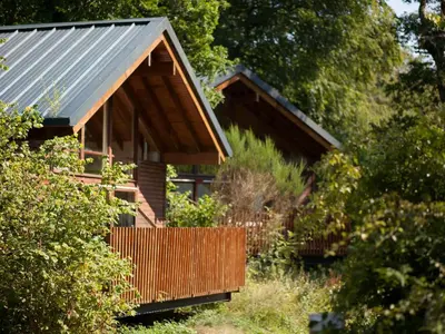 a small wooden house with a metal roof at Deerpark Cabins, Cornwall - Forest Holidays in Liskeard