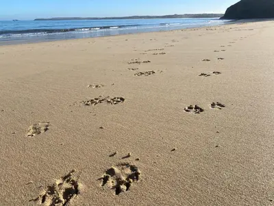 two footprints in the sand on a beach at Azure Retreat at Una in St Ives