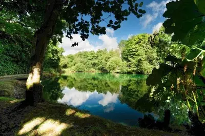 a view of a river with trees and the water at Manor Lake Lodge Exclusive luxury lodge retreat in Saint Tudy