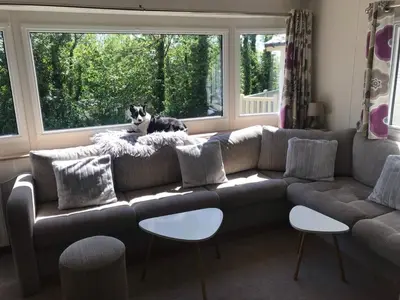 a cat sitting on top of a couch in a living room at Badgers nestled in a cozy corner of the park in Wadebridge