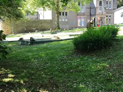 a park with a dog sitting in the grass at Badgers nestled in a cozy corner of the park in Wadebridge
