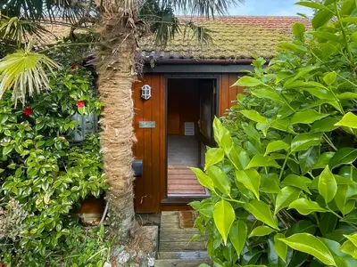 a door to a house with a palm tree at The Hut Hotel in Falmouth