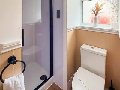 a bathroom with a toilet and a shower at Tide & Treth in Newquay