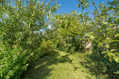 a path through an apple orchard with trees and grass at Charming Chardan Cottage, Fowey in Fowey