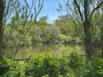 a body of water with trees and a river at Two bedroom Holiday Home with countryside view in St Austell