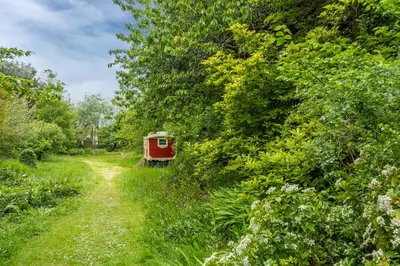 a red train on a dirt road next to trees at Schoopers - Holiday Home in Rock in Padstow