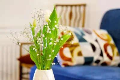 a white vase filled with white flowers on a table at 4 Victoria House with the best views in St Ives in St Ives