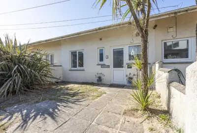 a house with a palm tree in front of it at Bluebirds in Polzeath