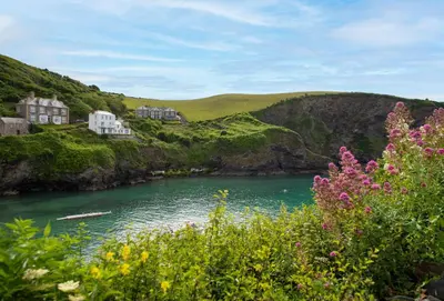 a body of water with houses and flowers in the foreground at Rabbit Hill in Polzeath