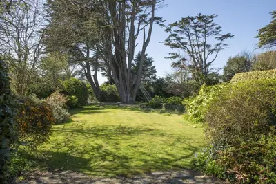 a garden with a large tree in the middle at Sparnal Stitch in Padstow