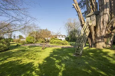 a ladder leaning against a tree in a yard at Sparnal Stitch in Padstow