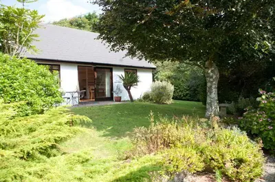 a white house with a yard with a tree at Shilbury Retreat Cottage near Perranporth in Perranporth
