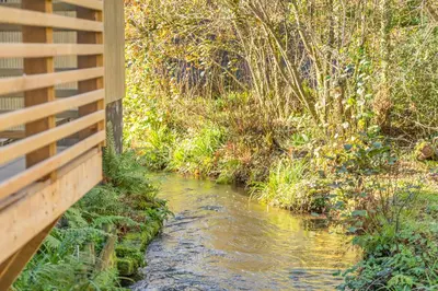 a river next to a wooden fence next to a creek at Lerryn Lodge, The Vale, Cornwall in Looe