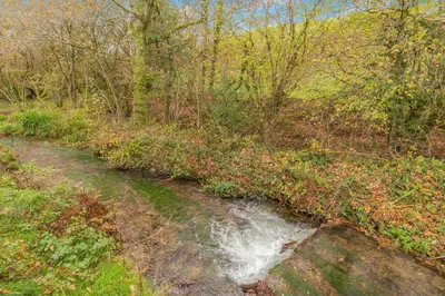 a small stream in the middle of a forest at Cardinham Lodge, The Vale, Cornwall in Looe