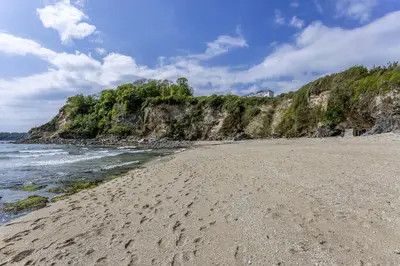 a beach with footprints in the sand near the water at Blue Haze - Family accommodation with private beach access in Charlestown