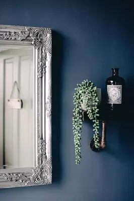 a mirror on a wall with a green plant next to it at Smarties Guest House in Newquay