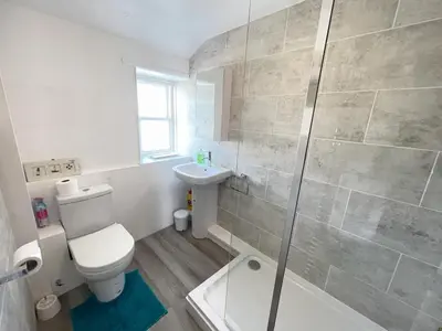 a bathroom with a shower and a toilet and a sink at The Lookout in St Ives