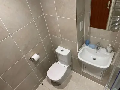 a bathroom with a toilet and a sink at 36 Carrack Widden in St Ives