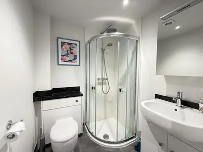 a bathroom with a shower and a toilet and a sink at 4 Sunday School Court in St Ives