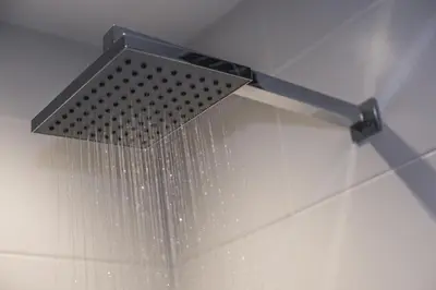 a shower head with a shower curtain in a bathroom at Two Bare Feet in Truro
