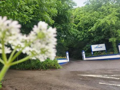 a bunch of white flowers in front of a sign at 52 strawberry in Hayle