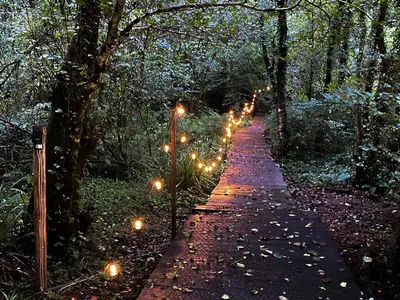 a path with lights in a forest at night at The Goose Nest in Cardinham