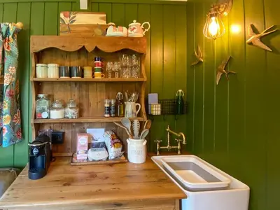 a kitchen with a sink and a green wall at The Goose Nest in Cardinham